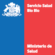 SS Biobio Capacita